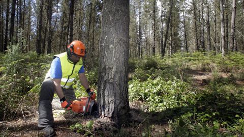 El segundo corte direcconal debe hacerse en horizontal y corresponderse con el primero.