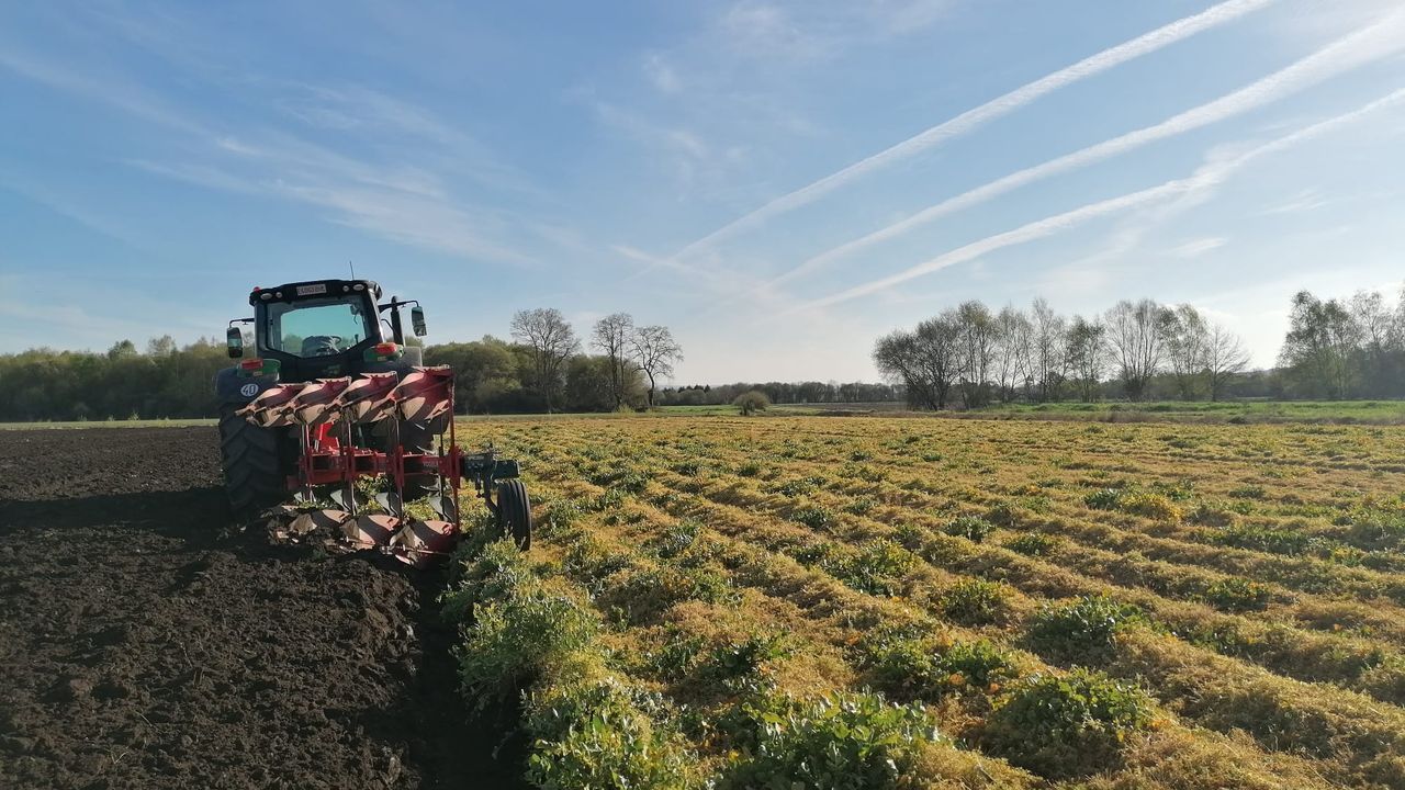 Ciencia al servicio del sector agrícola