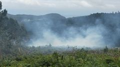 Incendio en As Carrexas, O Vicedo