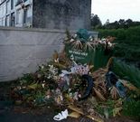 Denuncian la presencia de basura y aguas fecales en el cementerio.