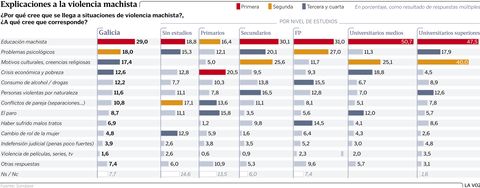 Explicaciones a la violencia machista