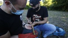 VIBORAS DE SEOANE EN LOS LIMITES DE A CORU�A CON CULLEREDO Y ARTEIXO POR LOS BIOLOGOS DE LA UCD DAVID DO PEREIRO Y ISMAEL ESPASANDIN .