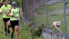 Las im�genes que dejo la carrera��Entre carballos centenarios�