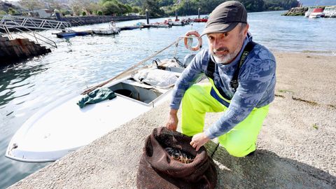 Imagen de la pesca de anguilas en la zona de Soutomaior
