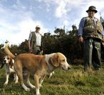 Cazadores, en el primer d�a de la temporada pasada. 