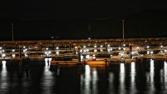 Vista nocturna del puerto deportivo de Mux�a, en una imagen de archivo