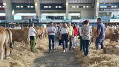 Inauguracin del CXLI Certamen de Ganado de San Agustn.
