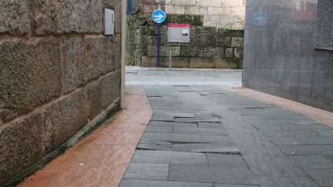 Aunque las calles peatonalizadas deber�an ser utilizadas exclusivamente por los caminantes, en muchas de ellas se internan los veh�culos