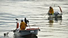 Mariscadores a flote en el banco de As Pías
