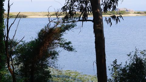 En la foto, el humedal de Doni&ntilde;os, donde se retiraron especies invasoras. KIKO DELGADO