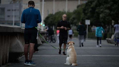 Paseantes y deportistas en el Paseo Maritimo de A Coru�a