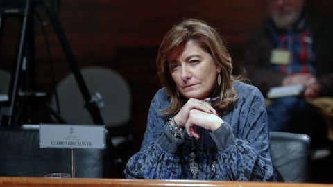  La ex Consejera de Bienestar Social y Vivienda del Principado de Asturias, Esther D�az Garc�a, al inicio de su comparecencia en la Comisi�n de Investigaci�n sobre la gesti�n social, econ�mica y financiera desarrollada por el Organismo Aut�nomo Establecimientos Residenciales para Ancianos de Asturias (ERA) que se desarrolla en la Junta General