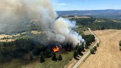 Una vista a�rea del incendio, que se registr� en la parroquia de San Mamede de Vilasouto