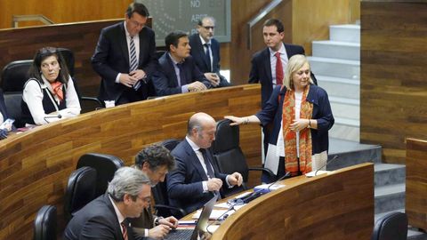 El grupo parlamentario del PP en la Junta General