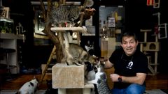 Pedro Soto, del Cat Caf�, en el municipio de Cambre, con los gatos.