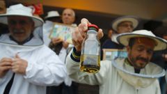 Concentraci�n en Santiago contra la avispa asi�tica (velutina)