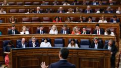 El presidente del Gobierno, Pedro Snchez, durante una comparecencia en el Congreso de los Diputados el pasado mes de mayo.