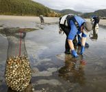 Profesionales de Cedeira en la playa de Vilarrube en enero. 