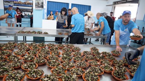 Festa do Percebe en Aguio 2025