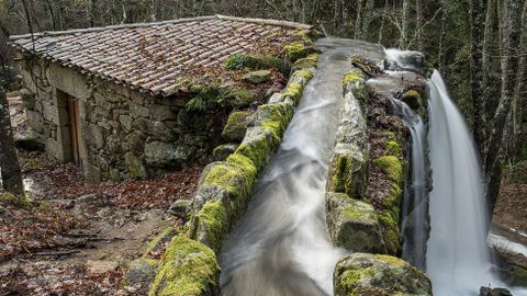 El canal o caneiro del molino de Ramiro da Boca suele desbordarse en las �pocas de lluvias intensas