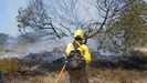 Bombero forestal extinguiendo el incendio en Do�ana, en una imagen del pasado mes de mayo.