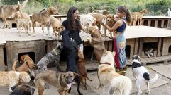 Sin espacio para m�s animales en las protectoras del �rea de Vigo