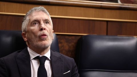 El ministro del Interior, Fernando Grande-Marlaska.