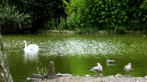 El estanque del Parque de Isabel la Cat�lica en Gij�n