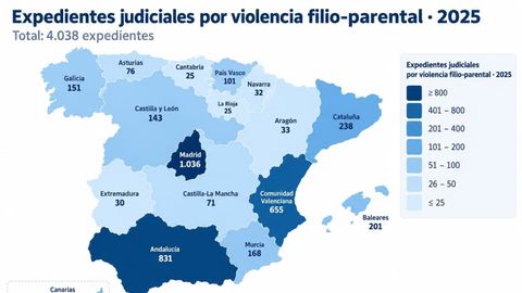 25 denuncias registradas por agresiones de hijos/as a progenitores en el ultimo a�o