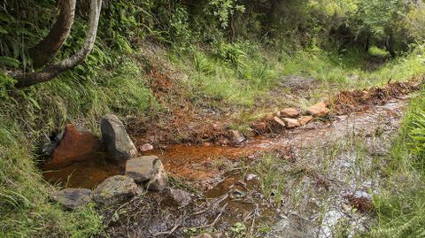El agua que mana de la fuente de Augas Férreas deja un llamativo rastro rojizo a lo largo de su curso