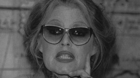 Bardot, durante una rueda de prensa en defensa de los animales en 1992