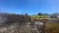 Un incendio ocurrido en Vilalba este verano