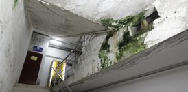 Hongos, �xido, desprendimientos y rotura de ladrillos son frecuentes en el maltrecho p�rking. 