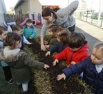 Los ni�os pueden plantar sobre pacas de paja. 