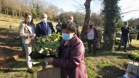 Entrega de material para os hortos urbanos da Deputacin de Lugo no Paseo do Rato