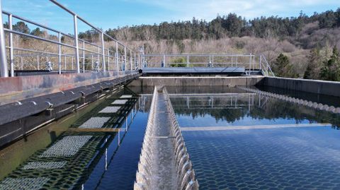 El proyecto busca optimizar el consumo de agua potable de Ames