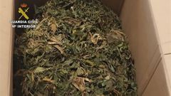 Marihuana incautada por la Guardia Civil