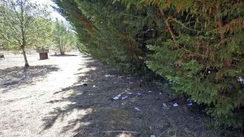 El veh�culo acab� par�ndose en el �rea de descanso del Cereixal