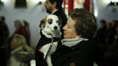 MISA Y BENDICIN DE LAS MASCOTAS CON MOTIVO DEL SAN ANTONIO EN LA IGLESIA DE LA ORDEN TERCERA