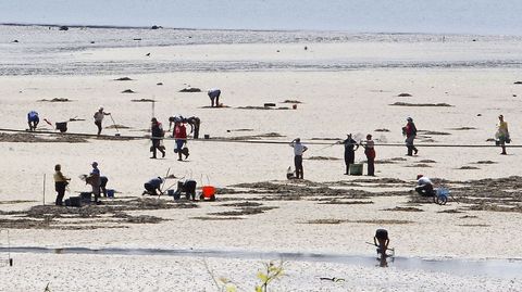 Mariscadoras en A Seca, en Poio, en una foto de archivo