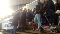 Concentraci�n canina ante los juzgados