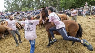 Un dos equipos de aloitadores que participaron na rapa do ano pasado