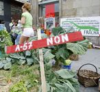 La plataforma Salvemos a Fracha lidera desde hace m�s de un a�o la oposici�n a la A-57. 