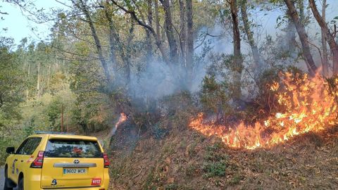 Bomberos del SEPA trabajan en la extinci�n de un Incendio forestal en Asturias.