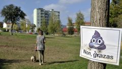 En Canido, algunos vecinos sueltan a sus perros en la zona verde situada detr�s del instituto en lugar de llevos al parque canino, por considerlo peque�o y sombr�o