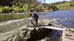 Un pescador de lamprea en una pesqueira en Arbo.