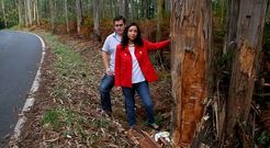 Tras descubrir a un herido en un coche el pasado s�bado, Jos� pidi� ayuda a su mujer, Roc�o, para que le asistiera. 