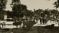 La feria del Campo de la Compa��a en la d�cada de 1950, en una imagen de Foto Arcadio