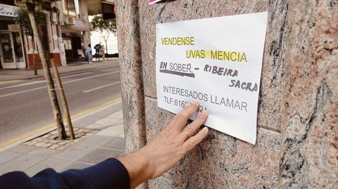 Anuncio de venta de uvas de menca de Sober en una cntrica calle de Monforte