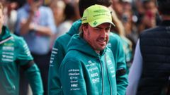 Fernando Alonso durante el Gran Premio de los Pa�ses Bajos.